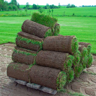 I have a professional lawn